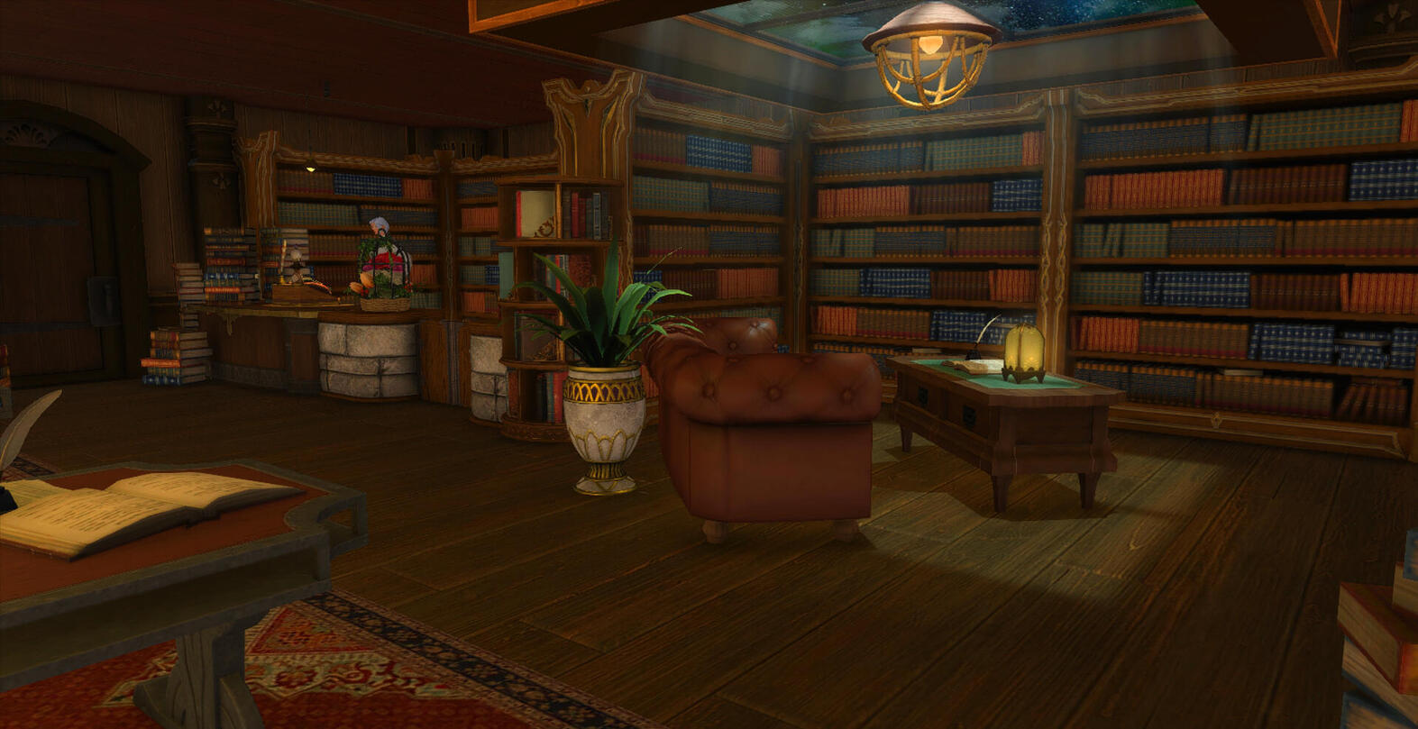 Room #13 The Library
